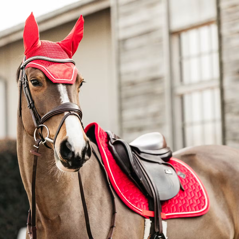 Kentucky Velvet Jumping Saddlepad - Red-3