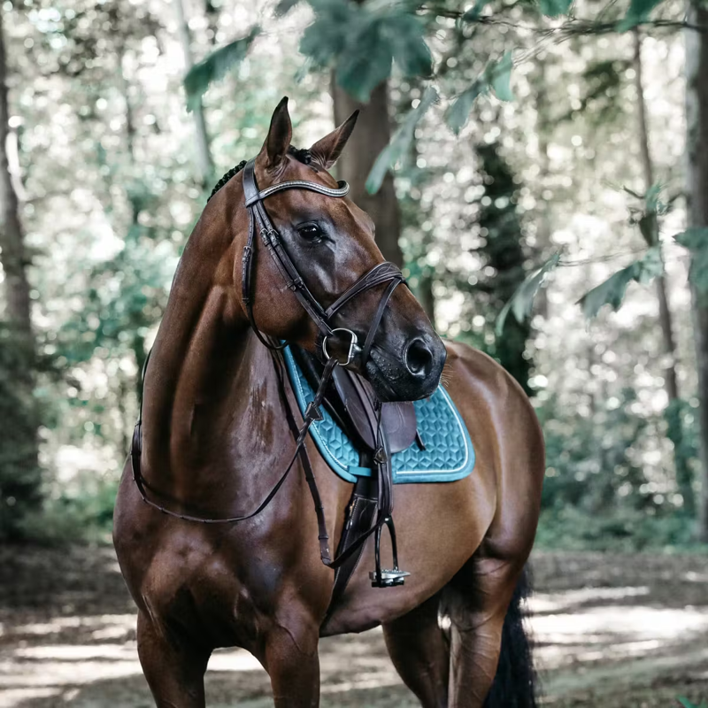 Kentucky Velvet Jumping Saddlepad - Emerald-2