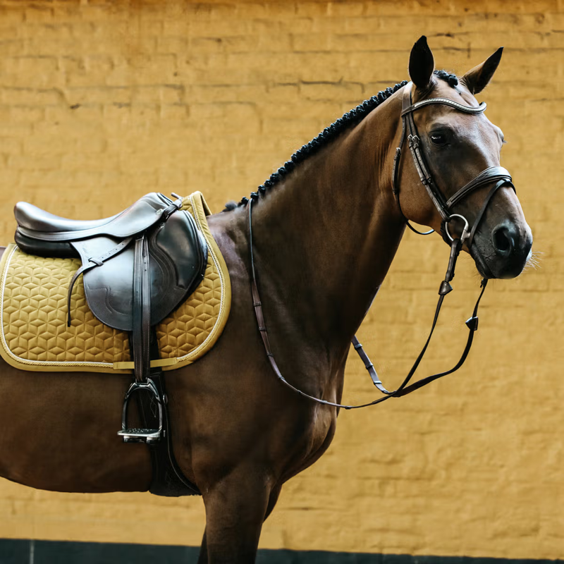 Kentucky Velvet Jumping Saddlepad - Mustard-2