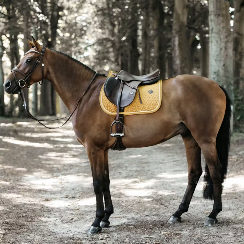 Kentucky Velvet Jumping Saddlepad - Mustard-3