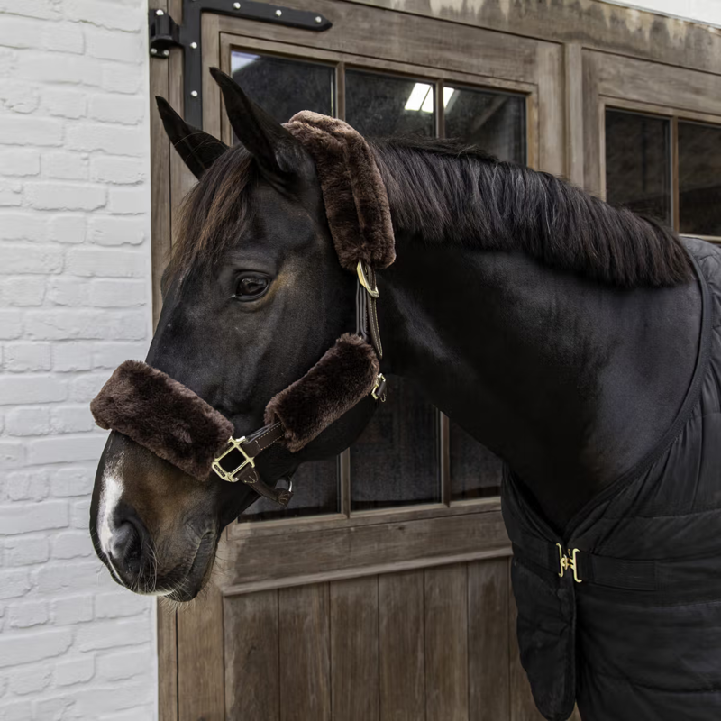 Kentucky Sheepskin Halter Pieces 4 Pack - Brown-1