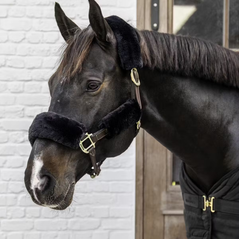 Kentucky Sheepskin Halter Pieces 4 Pack - Black-1
