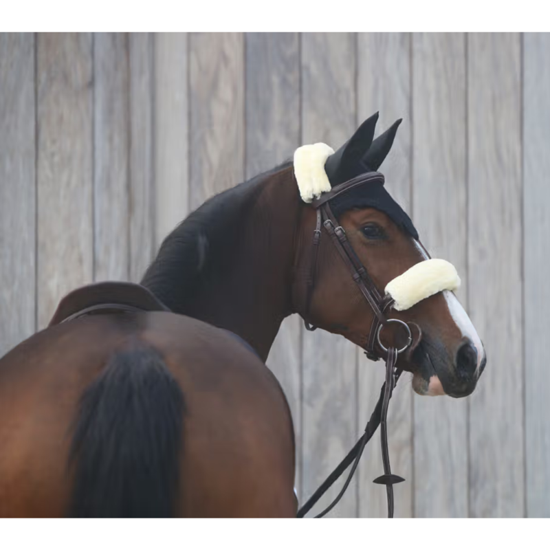 Kentucky Fly Veil Full - Black-1