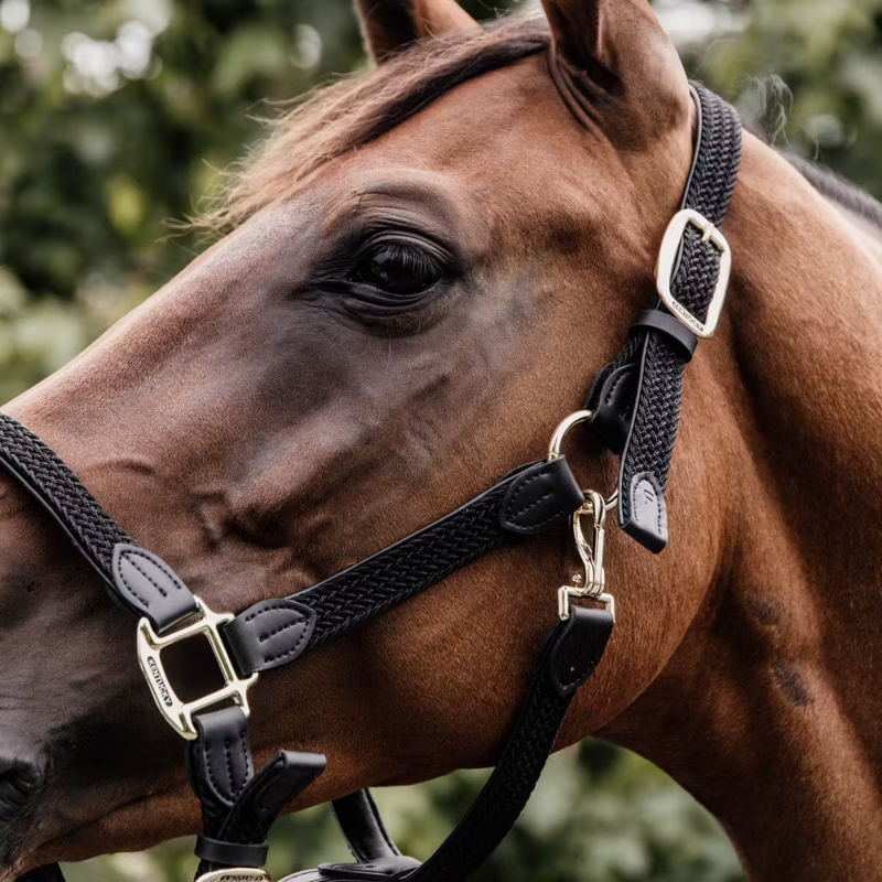 Kentucky Plaited Nylon Headcollar - Black-1