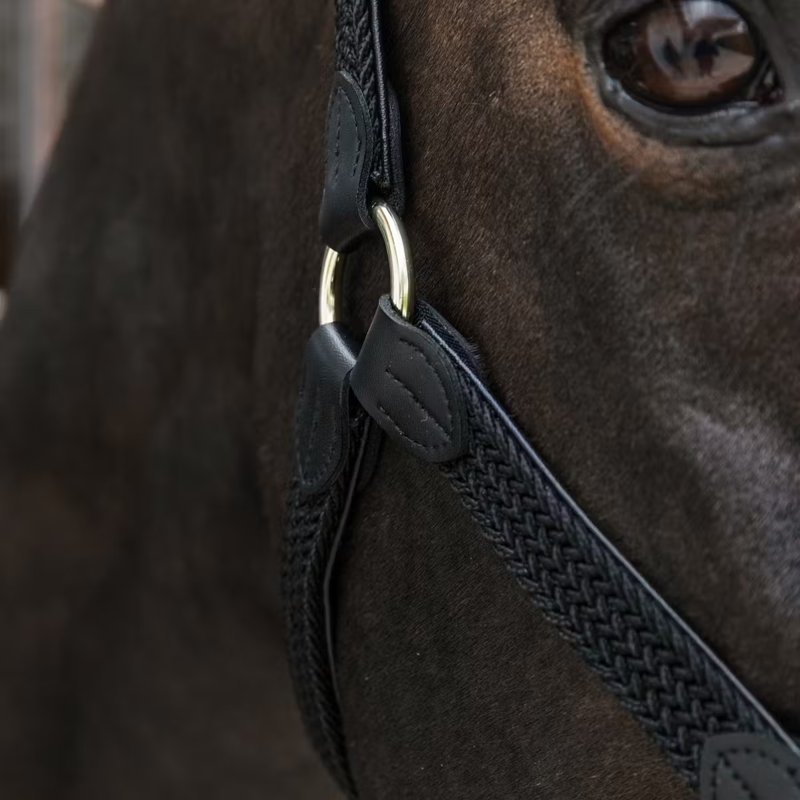 Kentucky Plaited Nylon Headcollar - Black-2