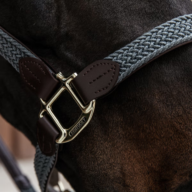 Kentucky Plaited Nylon Headcollar - Grey-2
