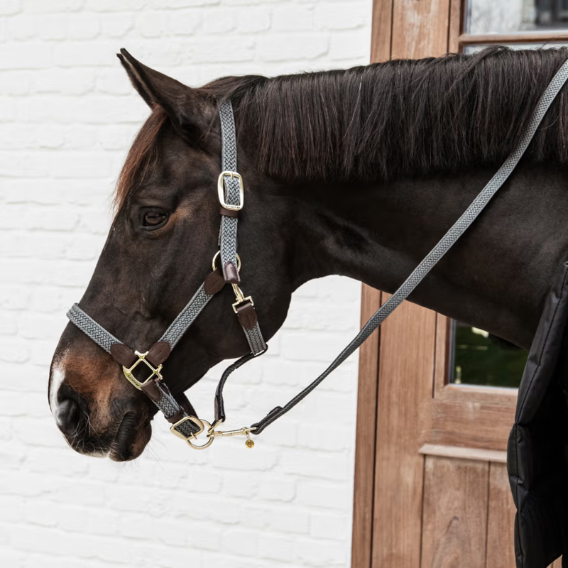 Kentucky Plaited Nylon Headcollar - Grey-1