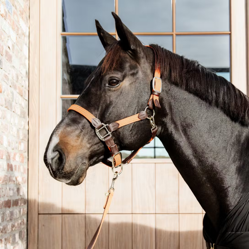 Kentucky Plaited Nylon Headcollar - Orange-1