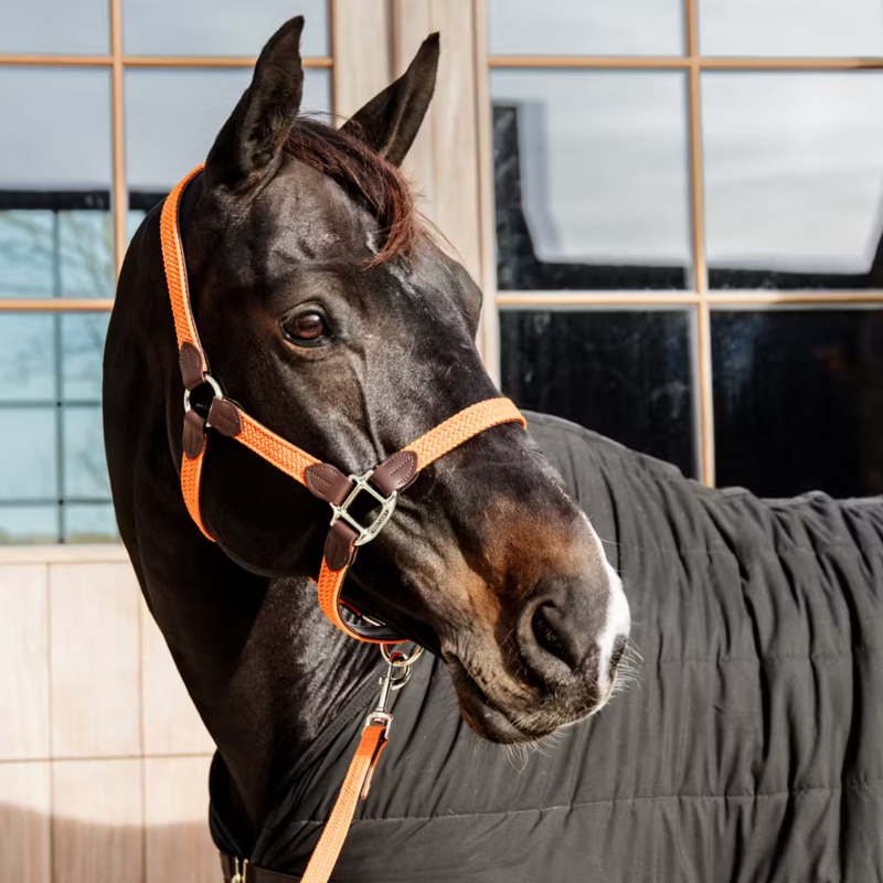 Kentucky Plaited Nylon Headcollar - Orange-2