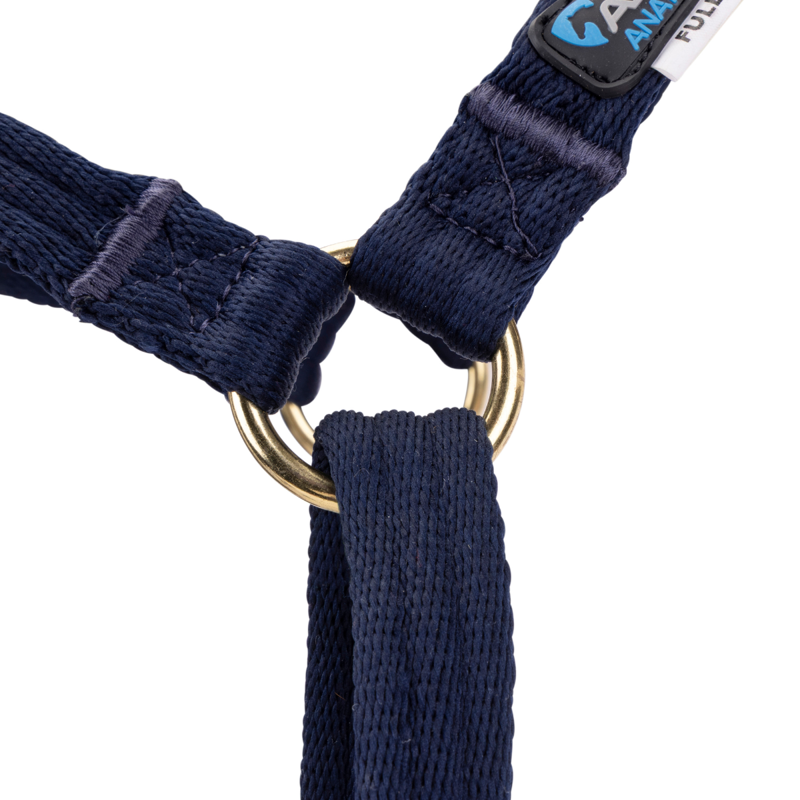 Shires Arma Cushion Headcollar with Lead - Navy-2