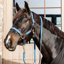 Kentucky Plaited Nylon Headcollar - Light Blue