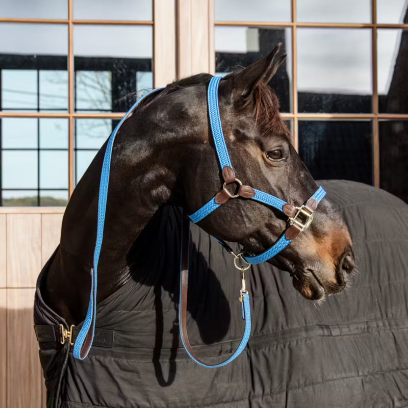 Kentucky Plaited Nylon Headcollar - Light Blue-1