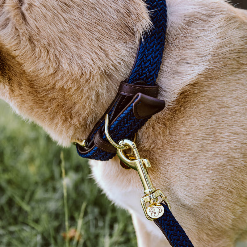 Kentucky Plaited Nylon Dog Collar - Navy-1