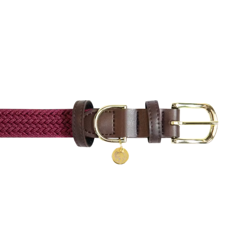 Kentucky Plaited Nylon Dog Collar - Bordeaux-2