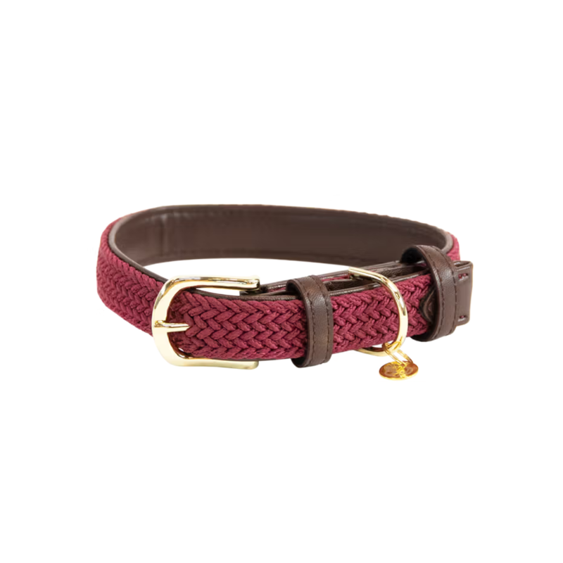 Kentucky Plaited Nylon Dog Collar - Bordeaux-1