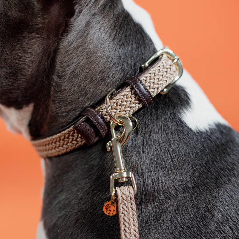 Kentucky Plaited Nylon Dog Collar - Beige-1
