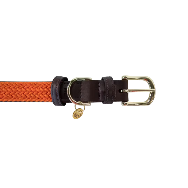 Kentucky Plaited Nylon Dog Collar - Orange-4