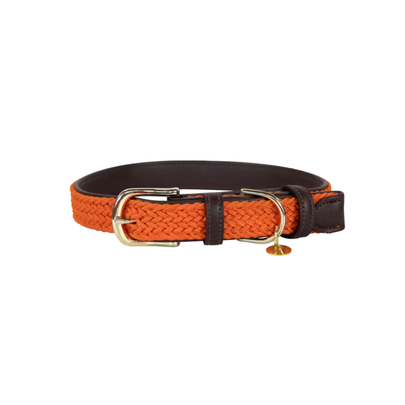 Kentucky Plaited Nylon Dog Collar - Orange-3