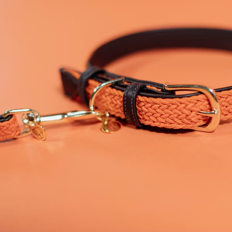Kentucky Plaited Nylon Dog Collar - Orange-2