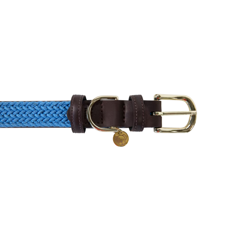 Kentucky Plaited Nylon Dog Collar - Light Blue-3