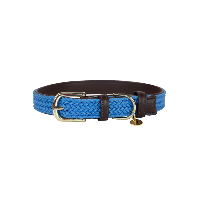 Kentucky Plaited Nylon Dog Collar - Light Blue-2