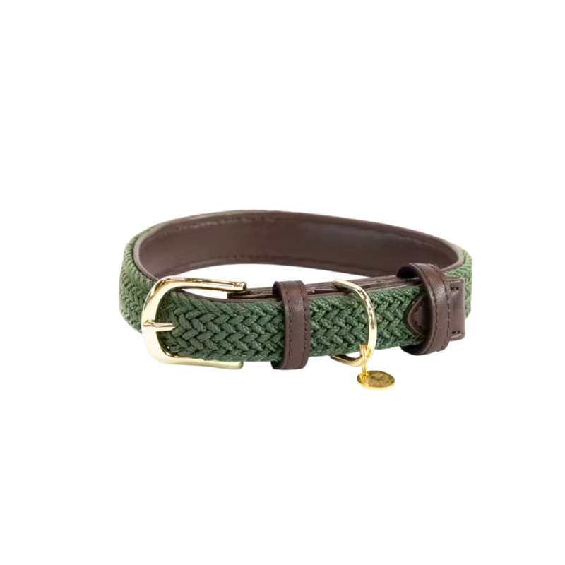 Kentucky Plaited Nylon Dog Collar - Olive Green-2