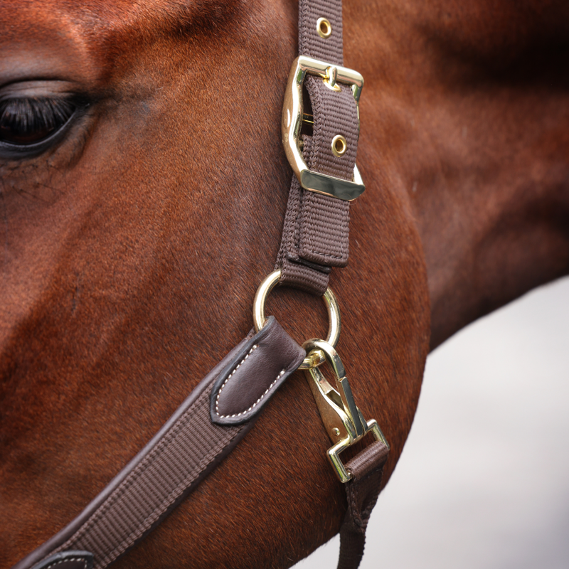 Shires Velociti Lusso Padded Leather Headcollar - Havana-1