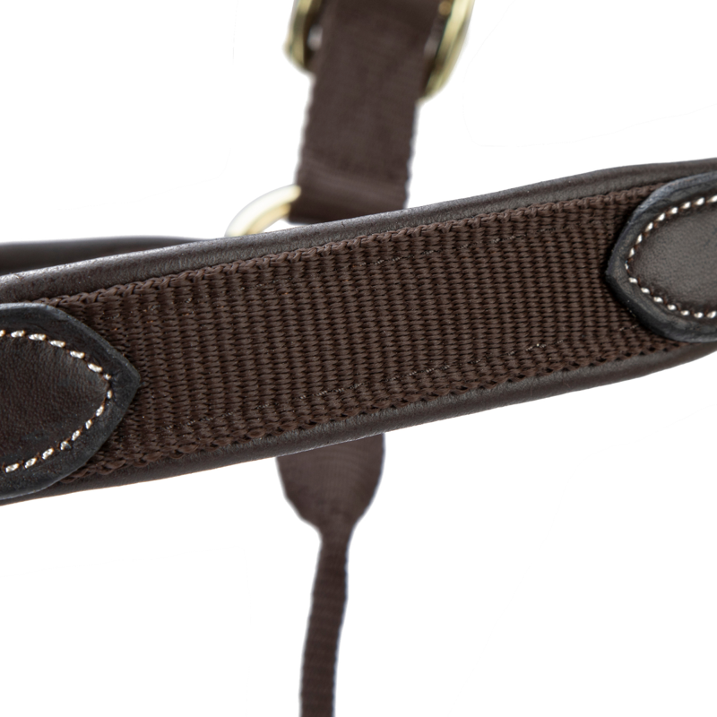 Shires Velociti Lusso Padded Leather Headcollar - Havana-6