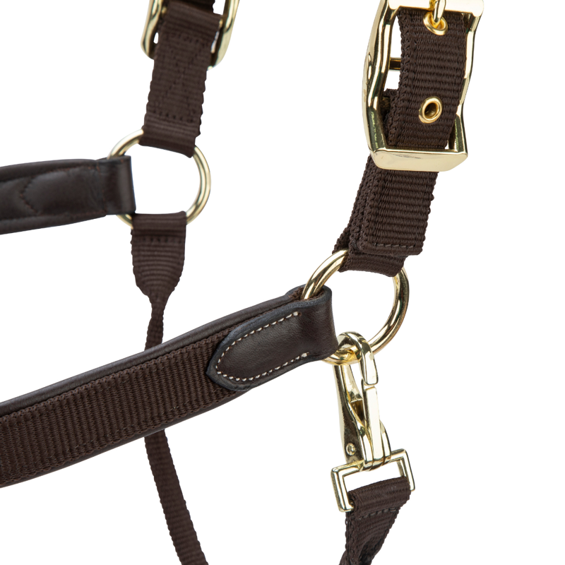 Shires Velociti Lusso Padded Leather Headcollar - Havana-8