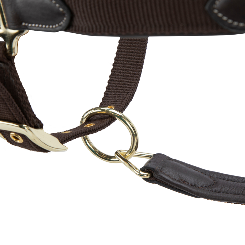 Shires Velociti Lusso Padded Leather Headcollar - Havana-9