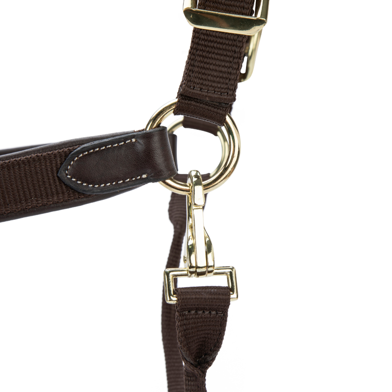 Shires Velociti Lusso Padded Leather Headcollar - Havana-10