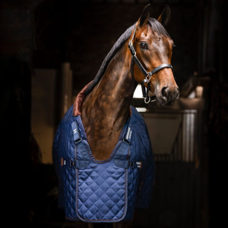 Horseware Signature Stable Rug 200g - Navy/Brown/Silver-3