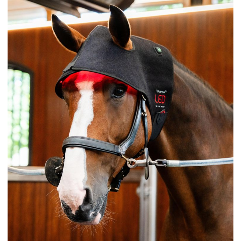 Horseware LED Red Light Therapy Poll Cap - Black/Black