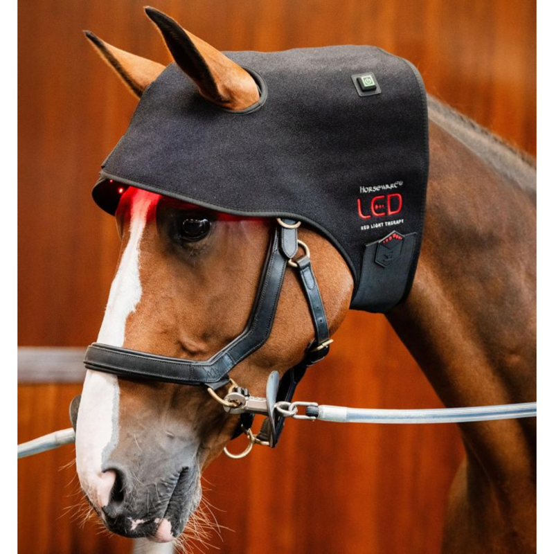 Horseware LED Red Light Therapy Poll Cap - Black/Black-1