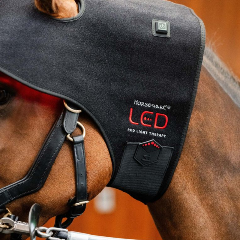 Horseware LED Red Light Therapy Poll Cap - Black/Black-2