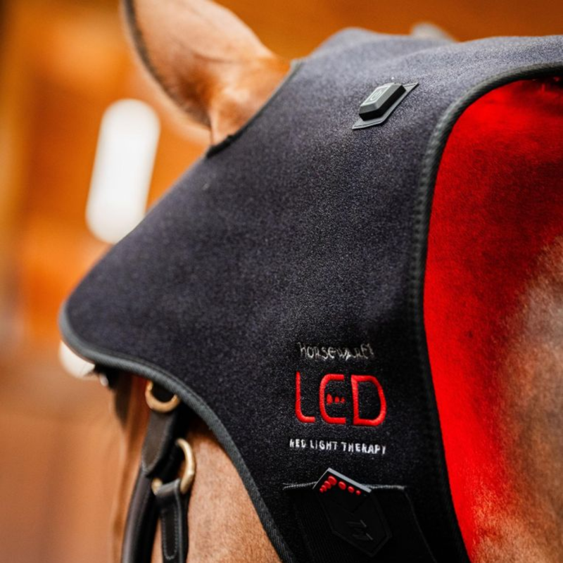 Horseware LED Red Light Therapy Poll Cap - Black/Black-3