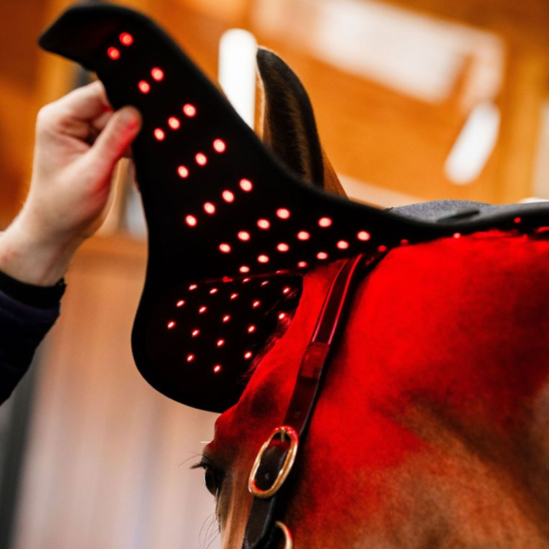 Horseware LED Red Light Therapy Poll Cap - Black/Black-5