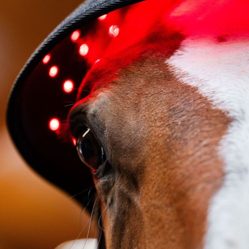 Horseware LED Red Light Therapy Poll Cap - Black/Black-6