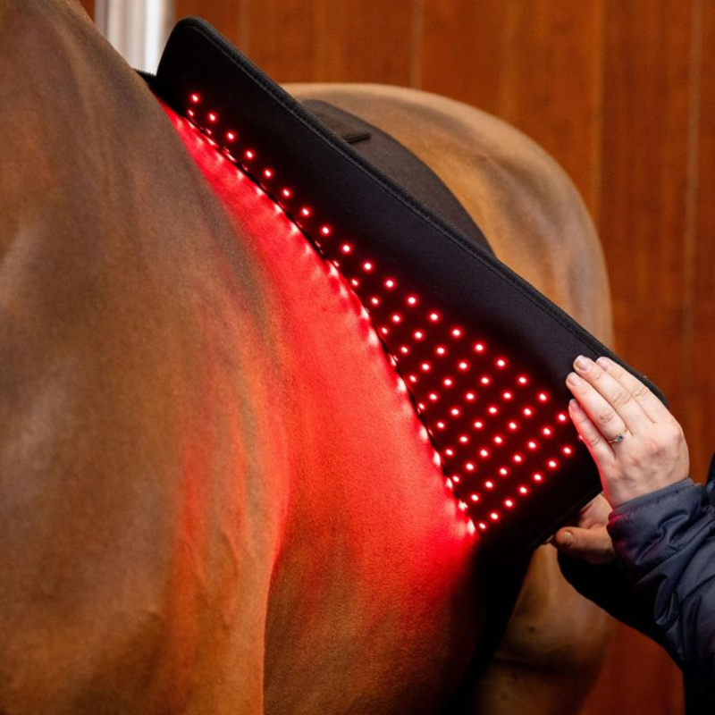 Horseware LED Red Light Therapy Pad - Black/Black-2