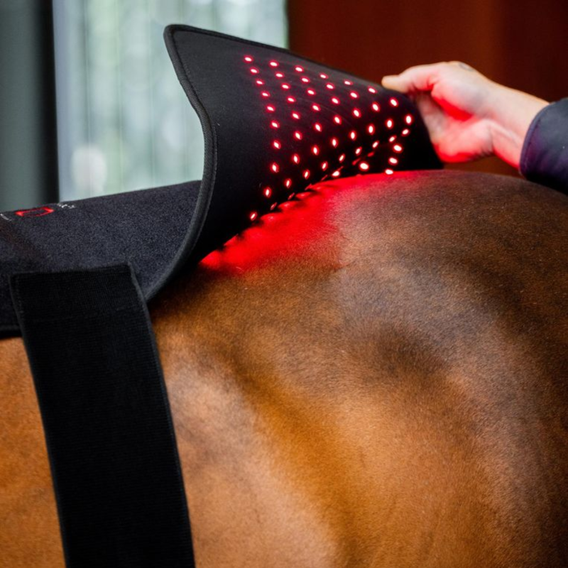 Horseware LED Red Light Therapy Pad - Black/Black-4