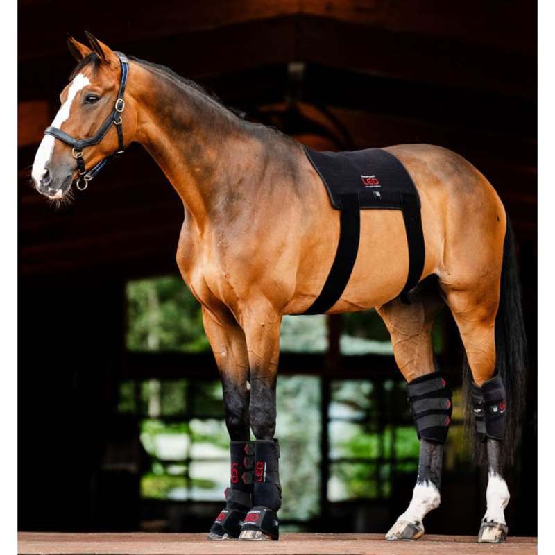 Horseware LED Red Light Therapy Pad - Black/Black-5