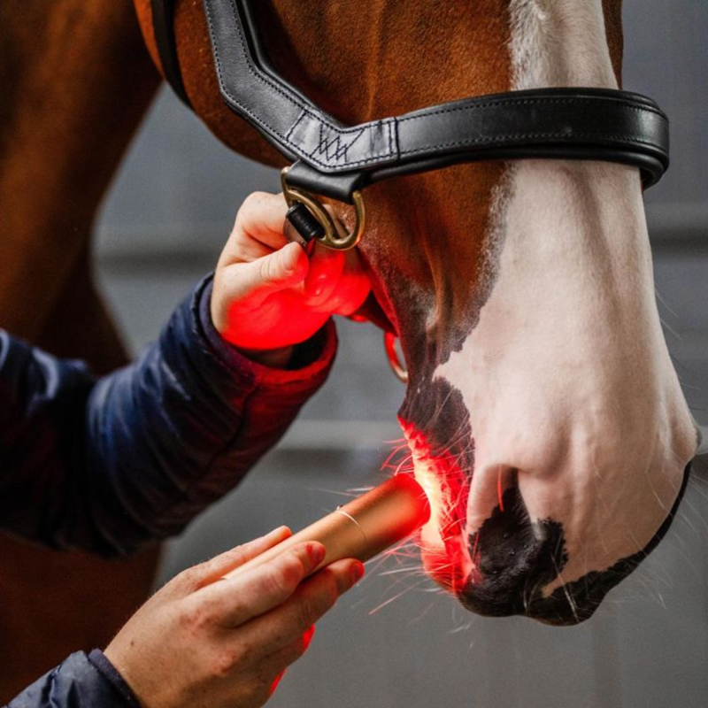 Horseware LED Red Light Therapy Wand - Black/Black-2