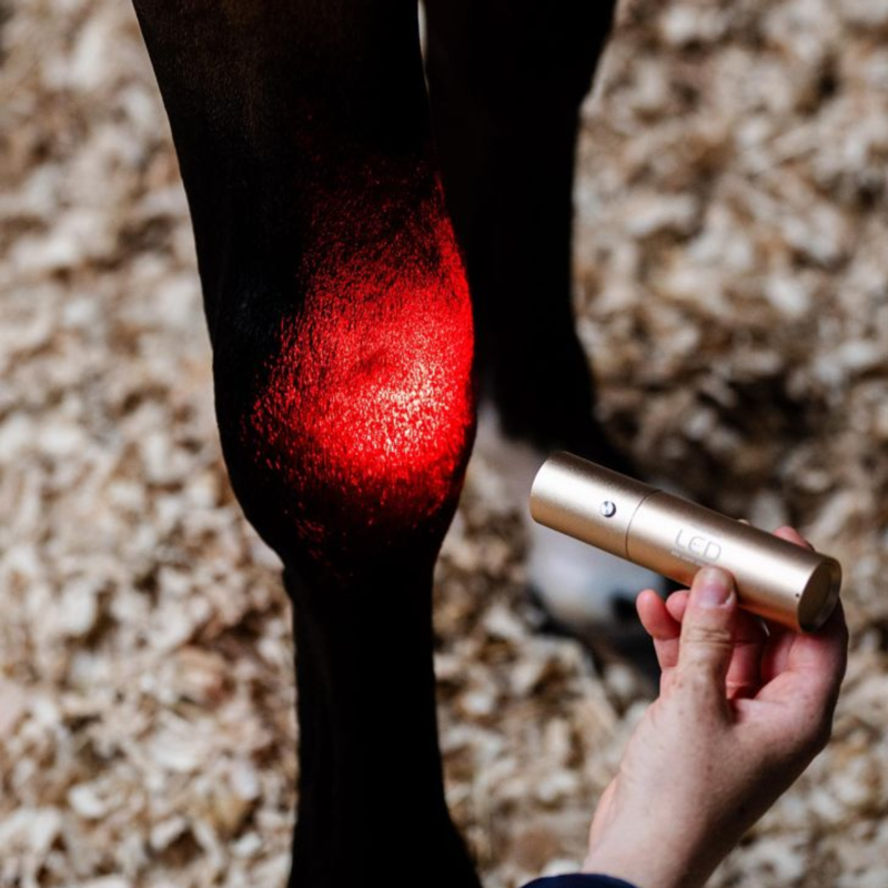 Horseware LED Red Light Therapy Wand - Black/Black-3