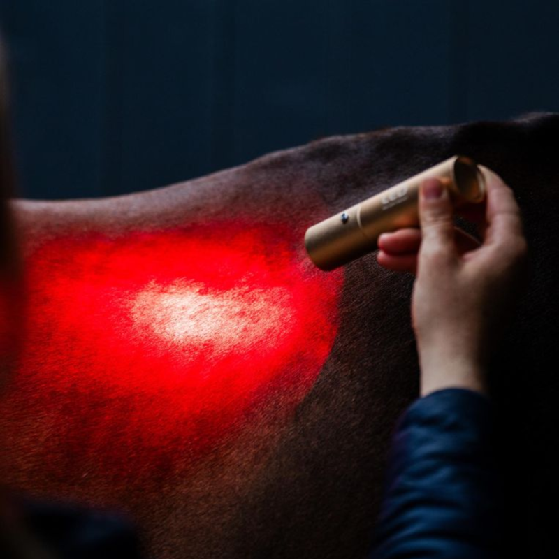Horseware LED Red Light Therapy Wand - Black/Black-4
