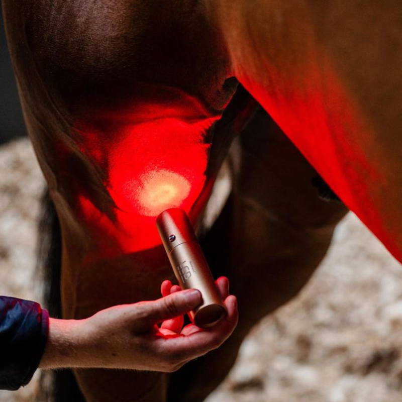 Horseware LED Red Light Therapy Wand - Black/Black-5