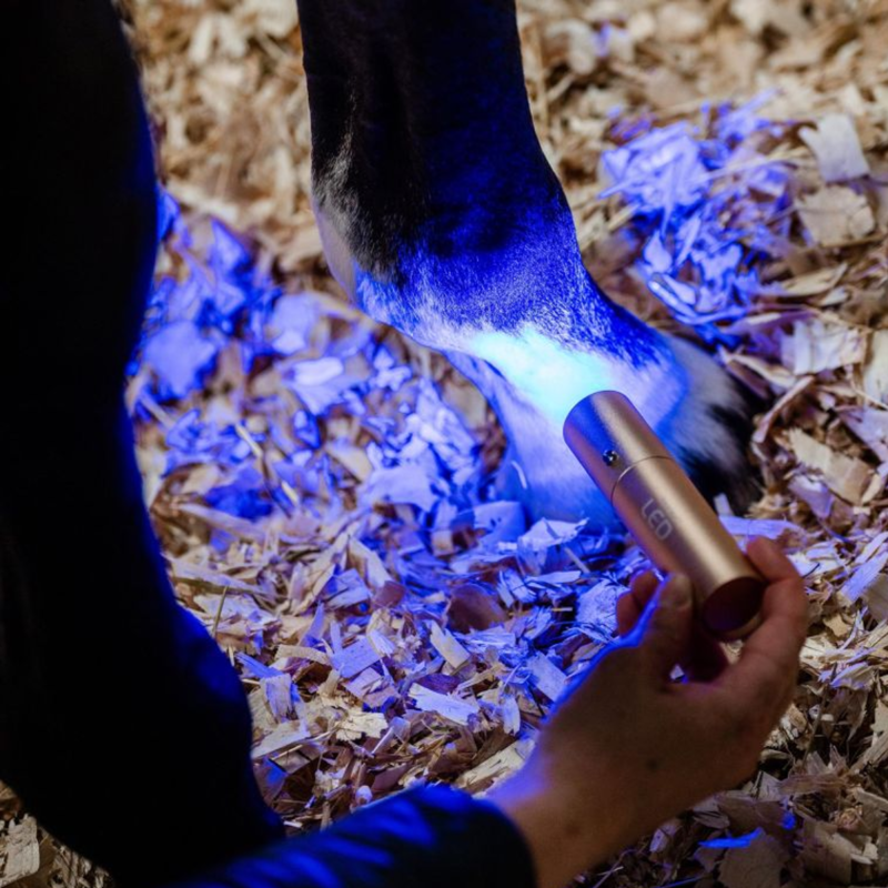 Horseware LED Red Light Therapy Wand - Black/Black-6