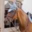 Kentucky Wellington 3D Logo Rope Fly Veil Full - Light Blue