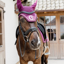 Kentucky Wellington 3D Logo Rope Fly Veil Full - Purple