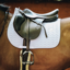 Kentucky Fishbone Show Jumping Saddlepad - White