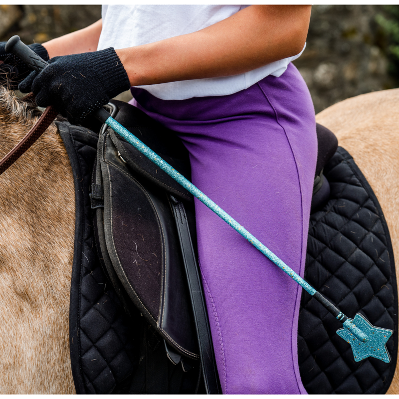 Equi-Sential Star Whip-1